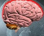 Синдром поражения оболочек мозга неврология thumbnail