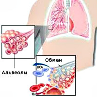 Тип дыхательной недостаточности при пневмонии thumbnail