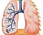 Внебольничная пневмония у детей этиология и патогенез thumbnail